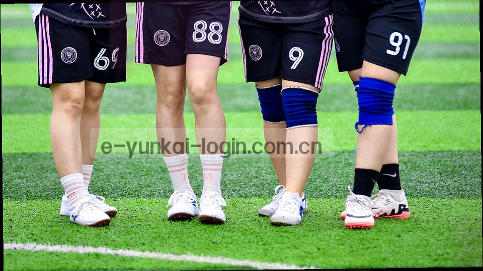 五大联赛分类图标与抽象足球场背景